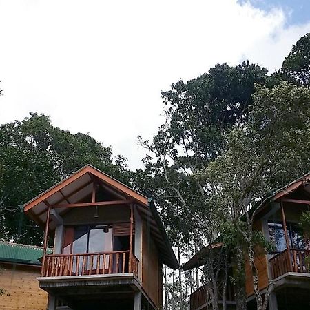 Saffron Eco Cottage Ella Ngoại thất bức ảnh